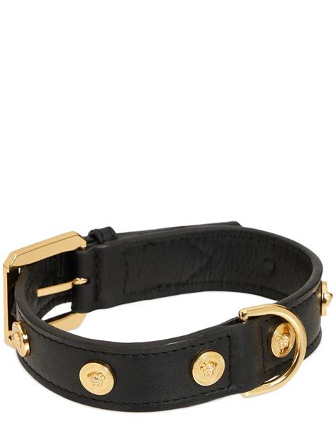 versace pet collar.